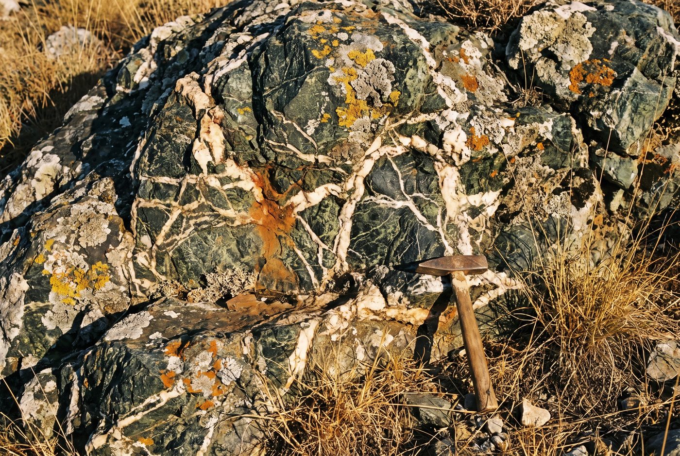 Serpentinite with white carbonate veins