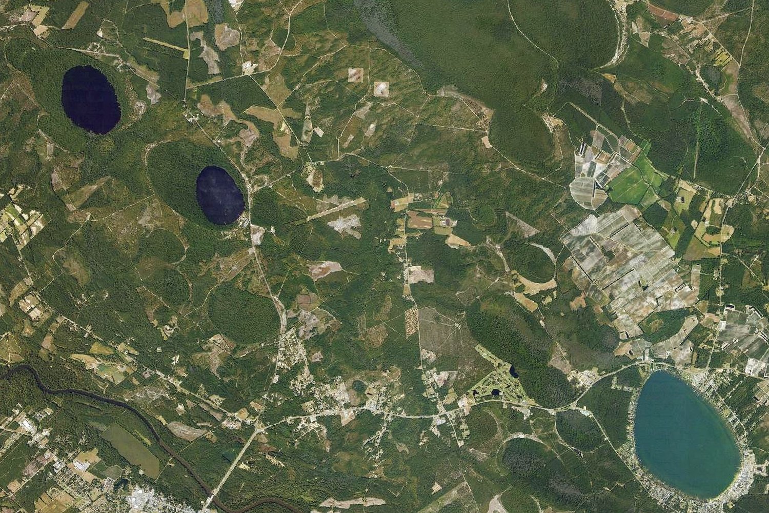 Aerial photograph of Carolina bays: oval depressions and lakes aligned north-west to south-east in North Carolina