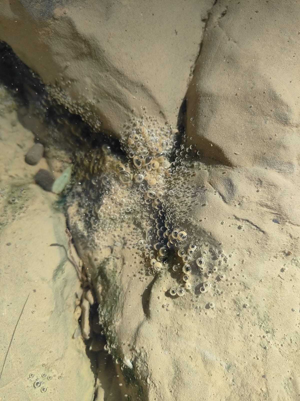 Gas bubbles rising from a rock fracture